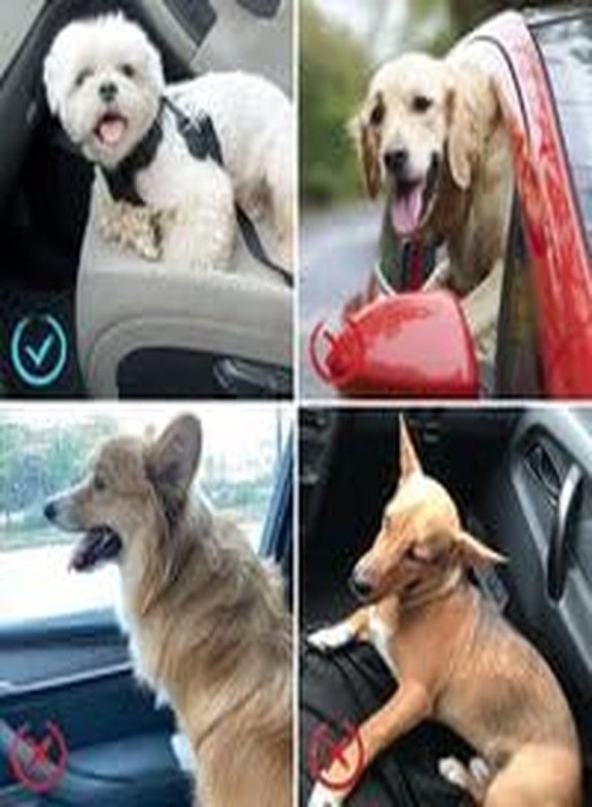 BLESSING PET SUPPLY Dog car seat Belts (Dog SEAT Belts, Black) - Image 3